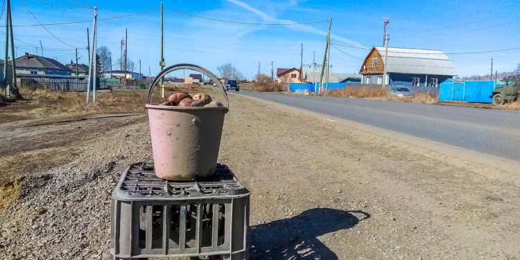 картошка