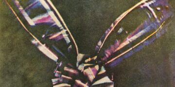 17 мая цветной фотографии исполнилось 165 лет